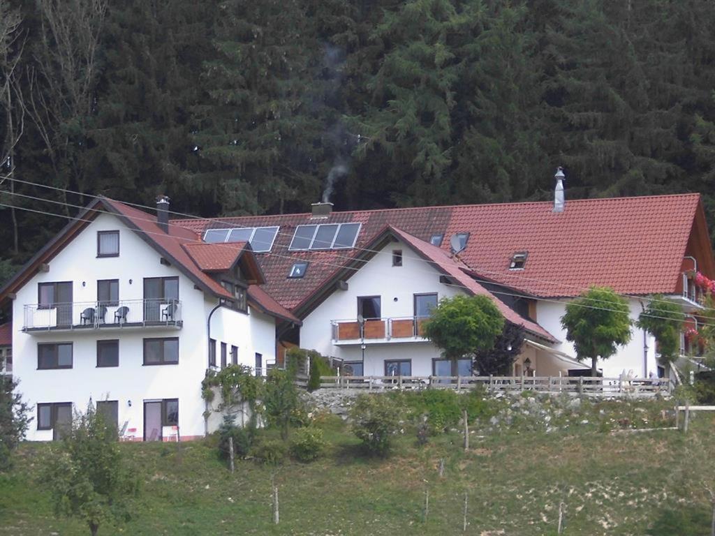 אמצל Gasthof Gruener Baum "Kongo" מראה חיצוני תמונה